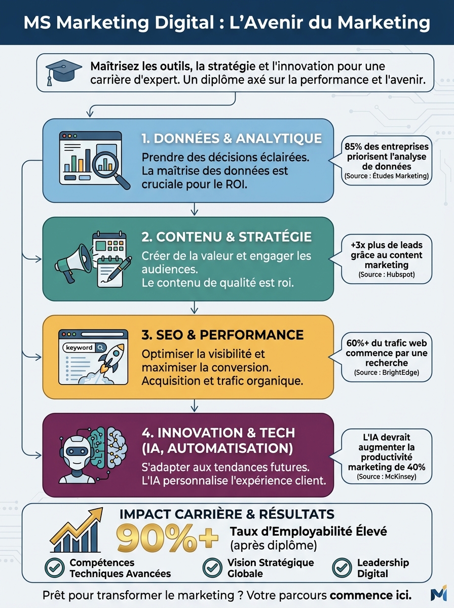 Infographie ms marketing digital